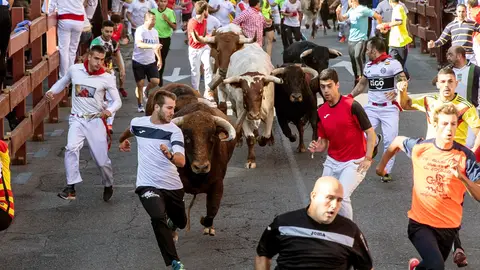 Segundo encierro de San Sebastián de los Reyes Segundo encierro de San Sebastián de los Reyes
