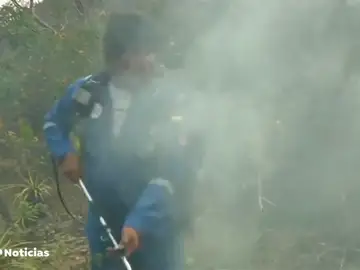 Evo Morales se une a los equipos que luchan contra los incendios de la amazonia boliviana Evo Morales se une a los equipos que luchan contra los incendios de la amazonia boliviana