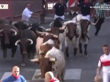 REEMPLAZO | Segundo encierro de las fiestas de San Sebastián de los Reyes