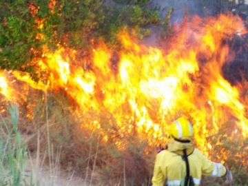  Servicios de emergencias trabajan para sofocar un incendio forestal declarado en paraje de El Menjú en Cieza
