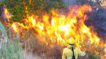  Servicios de emergencias trabajan para sofocar un incendio forestal declarado en paraje de El Menjú en Cieza