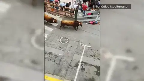 Un toro lanza al suelo a un corredor en los encierros de l'Alcora Un toro lanza al suelo a un corredor en los encierros de l'Alcora