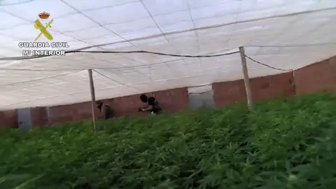 sss sss