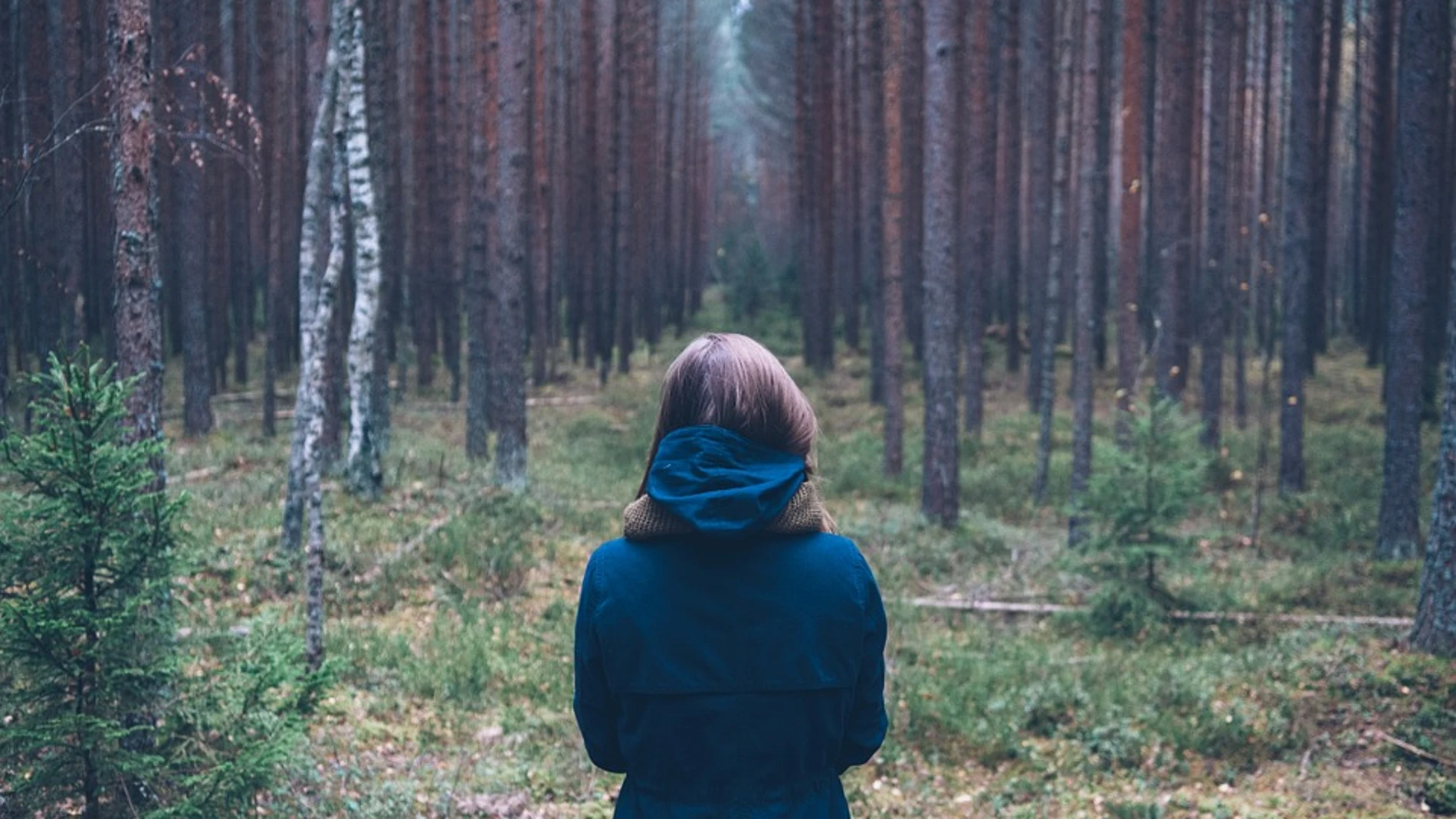 Niña en un bosque Niña en un bosque
