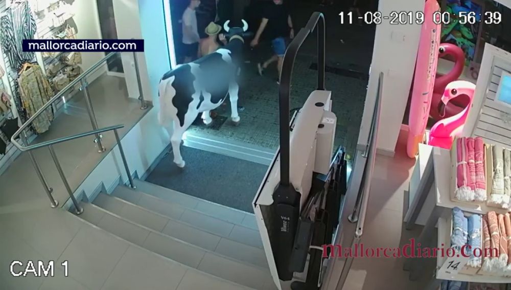 Detienen a un hombre al robarla réplica de una vaca en Mallorca