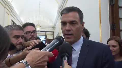 Pedro Sánchez: "Los ciudadanos dijeron que quieren un gobierno del Partido Socialista" Pedro Sánchez: "Los ciudadanos dijeron que quieren un gobierno del Partido Socialista"
