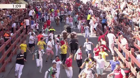 Encierros de Sanse 2019 (29-18-19) - Tercer encierro lento pero sin incidencias en San Sebastián de los Reyes Encierros de Sanse 2019 (29-18-19) - Tercer encierro lento pero sin incidencias en San Sebastián de los Reyes