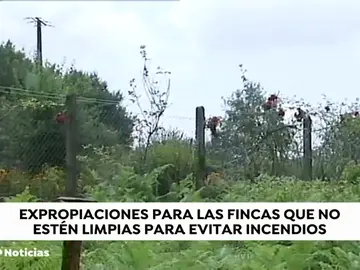 Multas para evitar los incendios por el abandono de los terrenos Multas para evitar los incendios por el abandono de los terrenos
