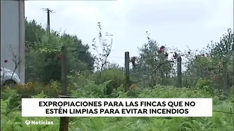 Multas para evitar los incendios por el abandono de los terrenos Multas para evitar los incendios por el abandono de los terrenos
