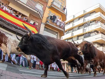 Encierros de San Sebastián de los Reyes Encierros de San Sebastián de los Reyes