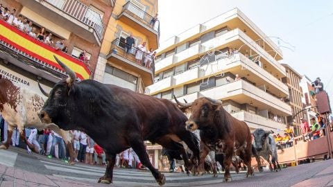 Encierros de San Sebasti&aacute;n de los Reyes.