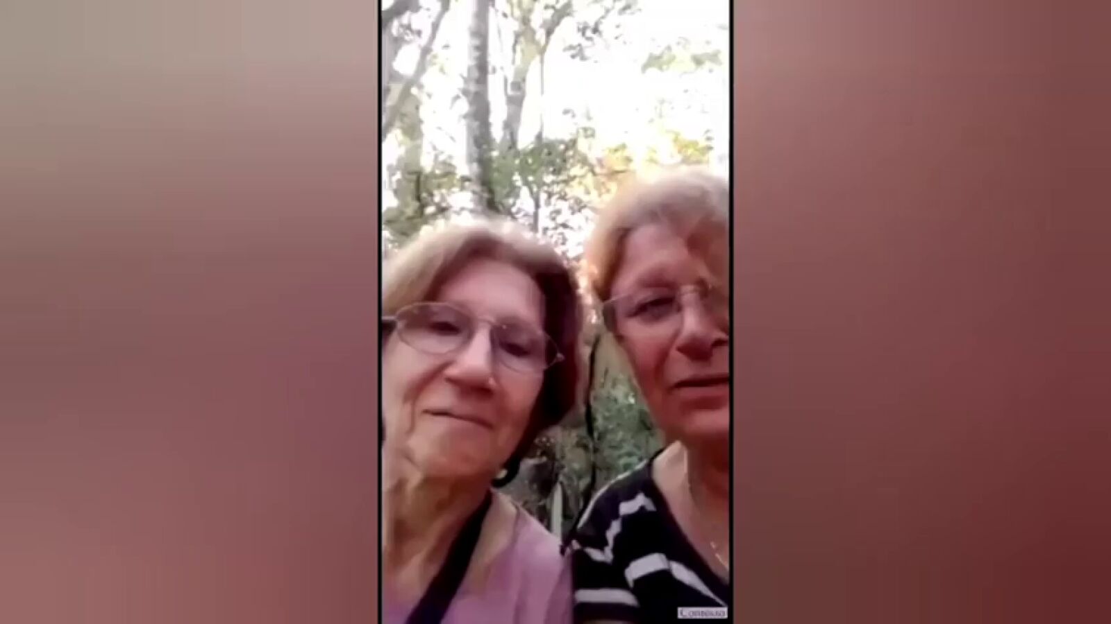 El simpático vídeo que dos sexagenarias argentinas graban tras perderse en el bosque: 