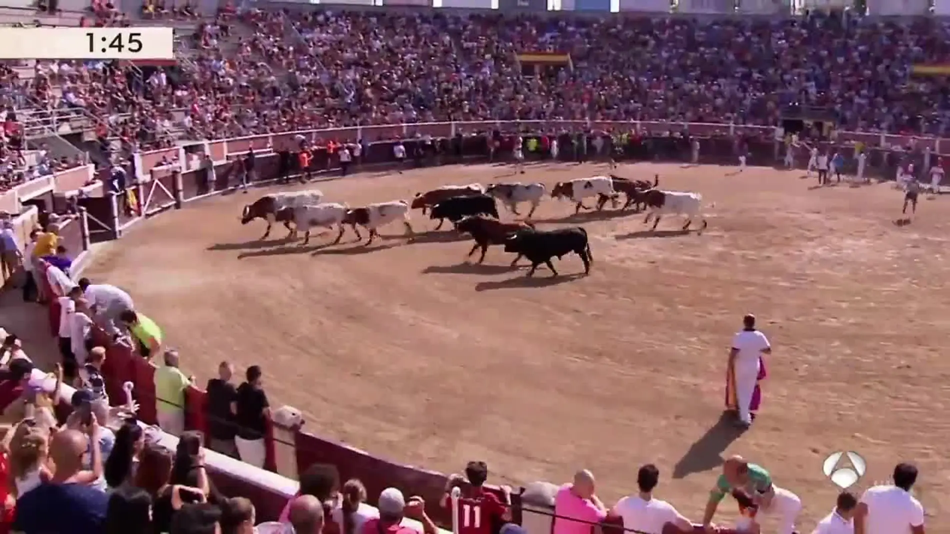 Ganadería de El Estoque Ganadería de El Estoque