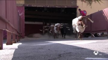 Cuarto encierro. Toros de la ganadería de El Estoque