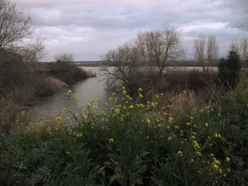 Un grupo de jóvenes hallaron el pie seccionado en la Laguna del Campillo, en Rivas Vaciamadrid Un grupo de jóvenes hallaron el pie seccionado en la Laguna del Campillo, en Rivas Vaciamadrid