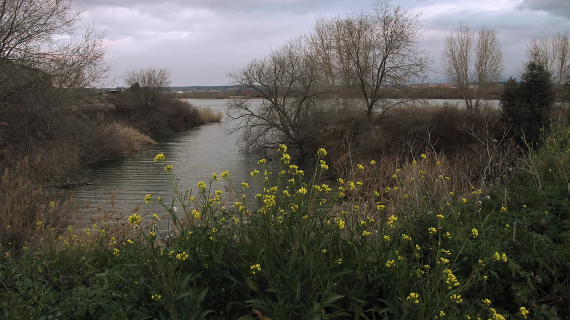Un grupo de jóvenes hallaron el pie seccionado en la Laguna del Campillo, en Rivas Vaciamadrid Un grupo de jóvenes hallaron el pie seccionado en la Laguna del Campillo, en Rivas Vaciamadrid