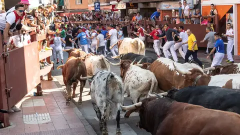 Encierros San Sebastián de los Reyes Encierros San Sebastián de los Reyes