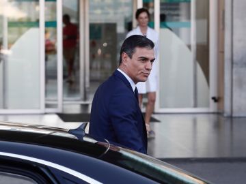 Visita de Sánchez al Rey
