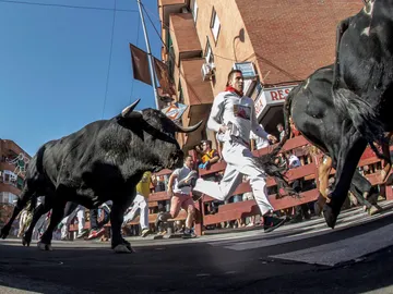 Encierro San Sebastián de los Reyes 2022 Encierro San Sebastián de los Reyes 2022