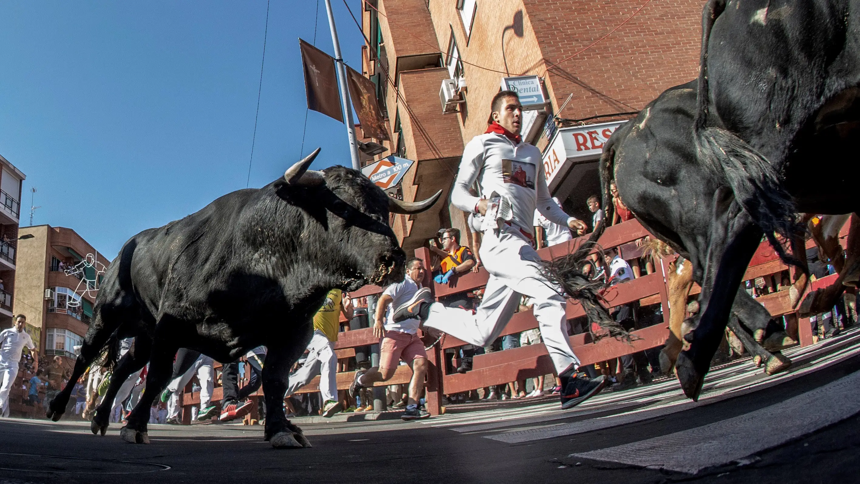 Encierro San Sebastián de los Reyes 2022 Imagen del quinto encierro de San Sebastián de los Reyes