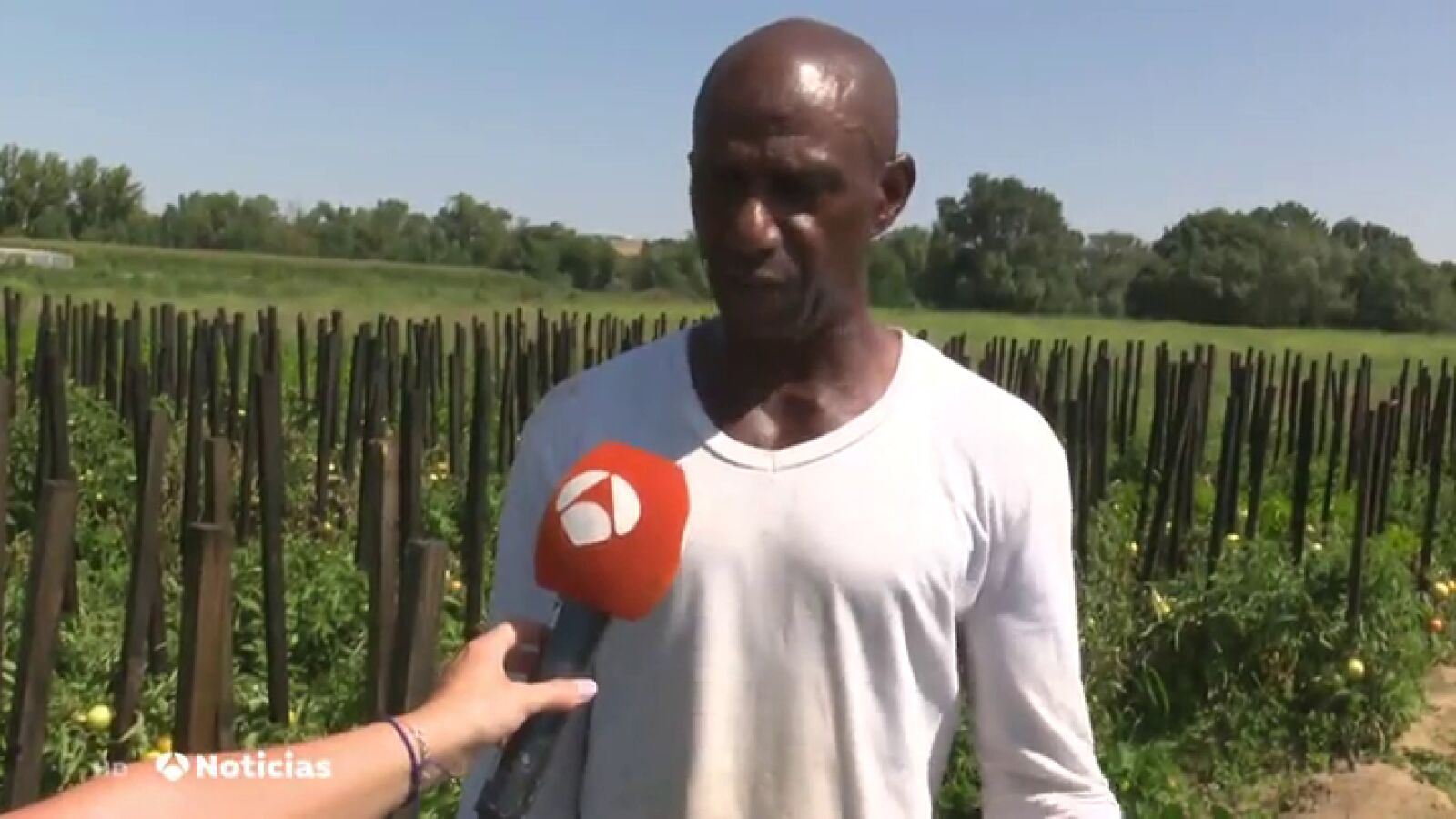 El trabajo de inmigrantes y personas desfavorecidas sirve para recuperar tierras abandonadas en Salamanca