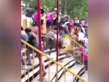 Al menos 17 heridos por un toro que se ha escapado de un 'correbou' en Vidreres (Girona) Al menos 17 heridos por un toro que se ha escapado de un 'correbou' en Vidreres (Girona)