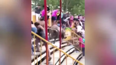 Al menos 17 heridos por un toro que se ha escapado de un 'correbou' en Vidreres (Girona) Al menos 17 heridos por un toro que se ha escapado de un 'correbou' en Vidreres (Girona)