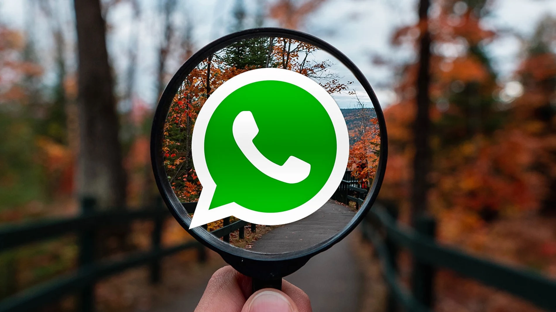 Búsqueda de WhatsApp Búsqueda de WhatsApp