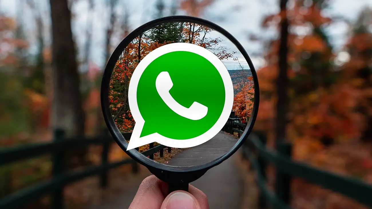 Búsqueda de WhatsApp Búsqueda de WhatsApp