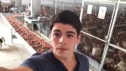 Así es la respuesta de un ganadero a las defensoras de las "gallinas violadas" Así es la respuesta de un ganadero a las defensoras de las "gallinas violadas"