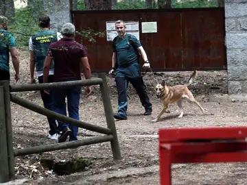 Los perros que buscan a Blanca Fernández Ochoa Los perros que buscan a Blanca Fernández Ochoa
