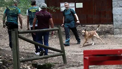 Los perros que buscan a Blanca Fernández Ochoa Los perros que buscan a Blanca Fernández Ochoa