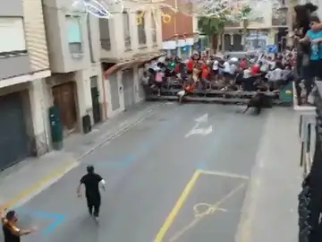 Víctima mortal en los 'bous al carrer' de Liria Víctima mortal en los 'bous al carrer' de Liria
