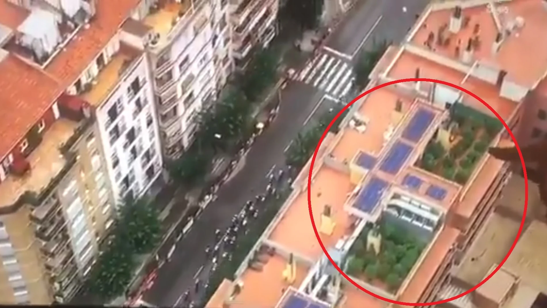 Imagen de la azotea con las plantas de cannabis tomada por el helicóptero de la Vuelta Imagen de la azotea con las plantas de cannabis tomada por el helicóptero de la Vuelta