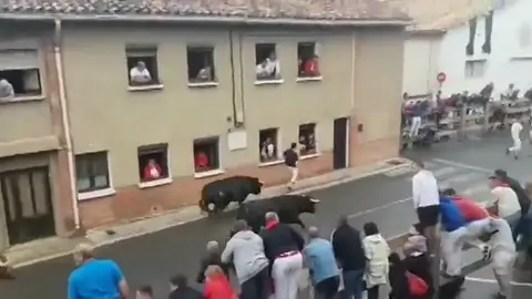 Un joven 26 años recibe dos cornadas en los encierros de Sangüesa Un joven 26 años recibe dos cornadas en los encierros de Sangüesa