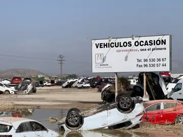 Daños en un concesionario de Orihuela Daños en un concesionario de Orihuela