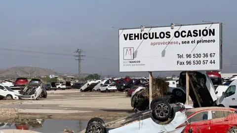 Daños en un concesionario de Orihuela Daños en un concesionario de Orihuela