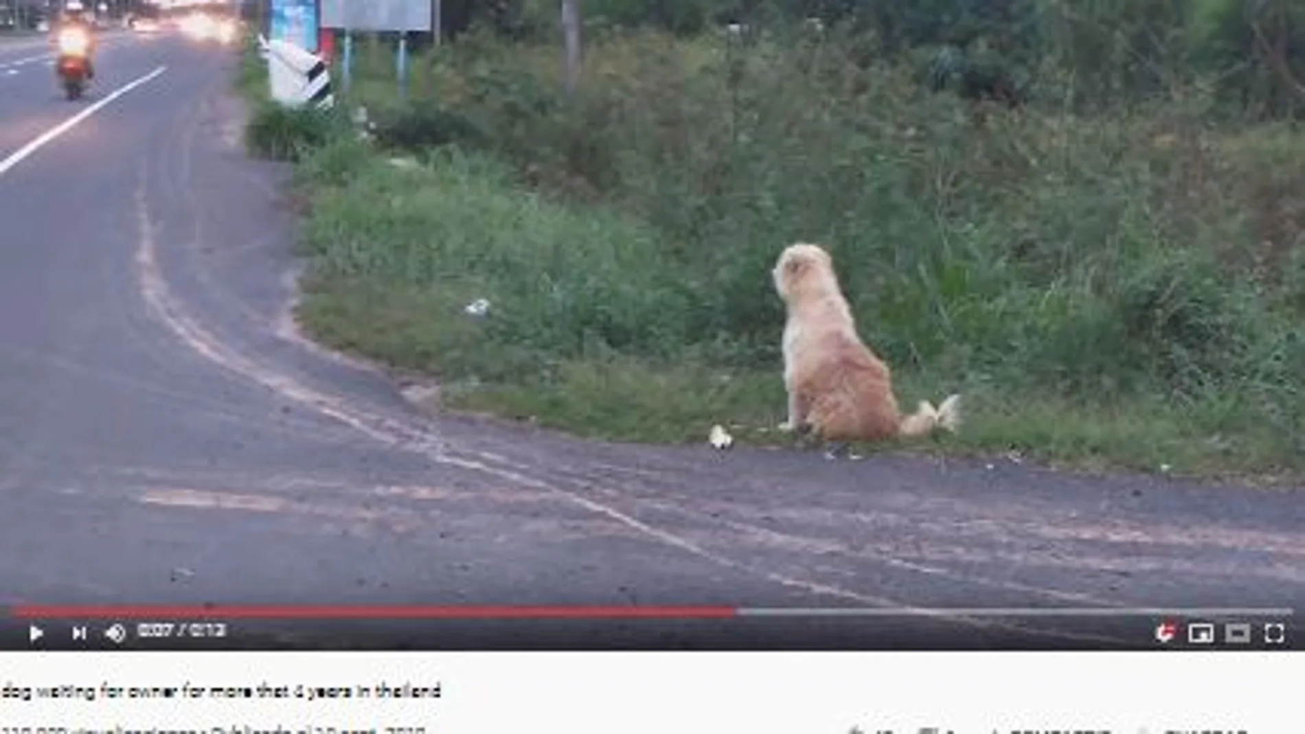 El reencuentro de un perro con sus verdaderos dueños El reencuentro de un perro con sus verdaderos dueños
