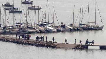 Operaciones de rescate en el Mar Menor Operaciones de rescate en el Mar Menor