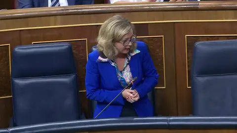 La ministra de Economía Nadia Calviño reconoce que el "otoño será muy complicado" y los empresarios piden estabilidad La ministra de Economía Nadia Calviño reconoce que el "otoño será muy complicado" y los empresarios piden estabilidad