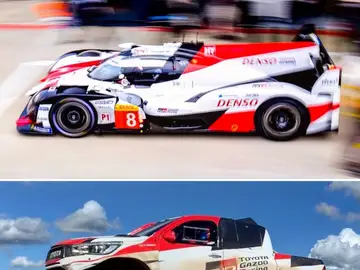 La foto compartida por Fernando Alonso en redes La foto compartida por Fernando Alonso en redes