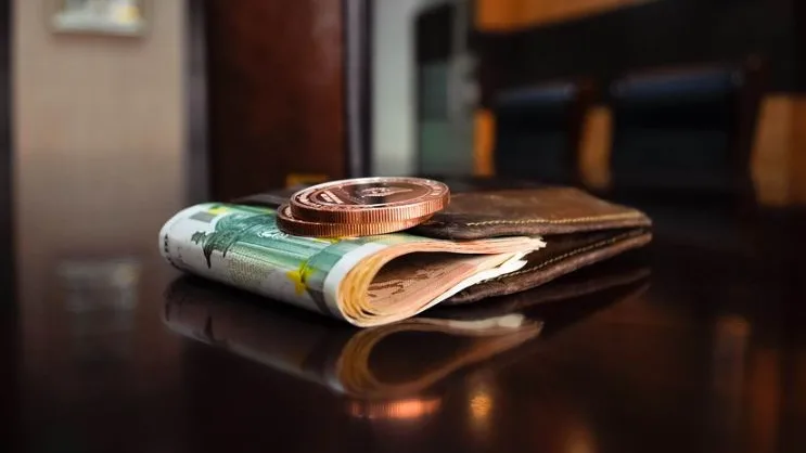 Cartera con dinero Cartera con dinero
