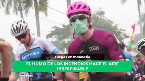 contaminación contaminación
