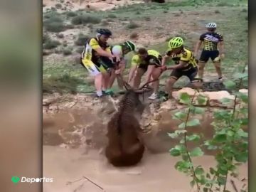 El heroico rescate de un grupo de ciclistas a un ciervo que se estaba ahogando