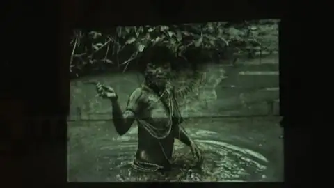 Imágenes del amazonas Imágenes del amazonas
