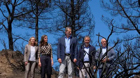 Los Reyes en Canarias Los Reyes en Canarias