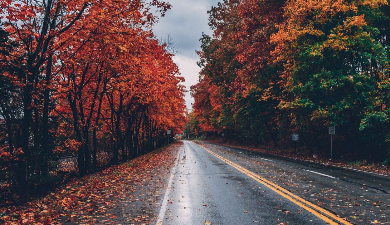 Otoño Otoño