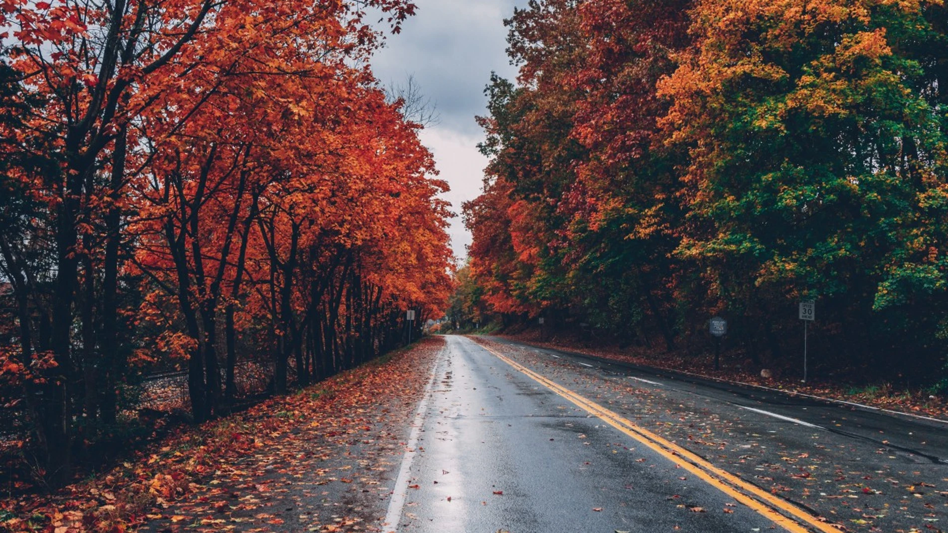 Otoño Otoño