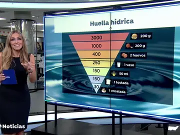 Ponerse a dieta para combatir la sequía, ¿funciona realmente? Ponerse a dieta para combatir la sequía, ¿funciona realmente?