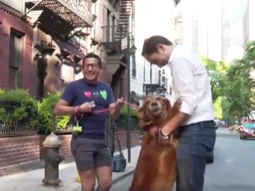 José Ángel Abad conoce a Louboutina, la perra más cariñosa del mundo
